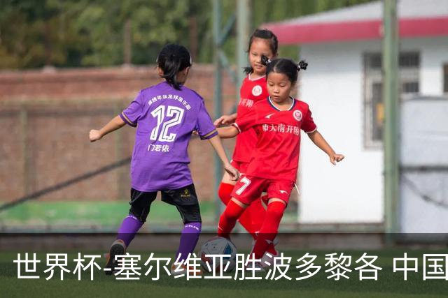 世界杯-塞尔维亚胜波多黎各 中国仍存出线可能