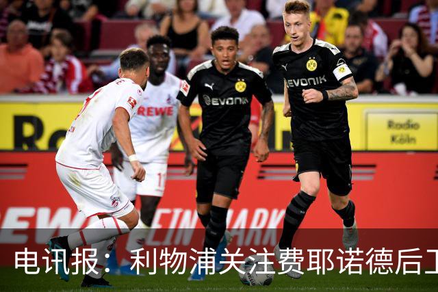 电讯报：利物浦关注费耶诺德后卫海特勒伊达