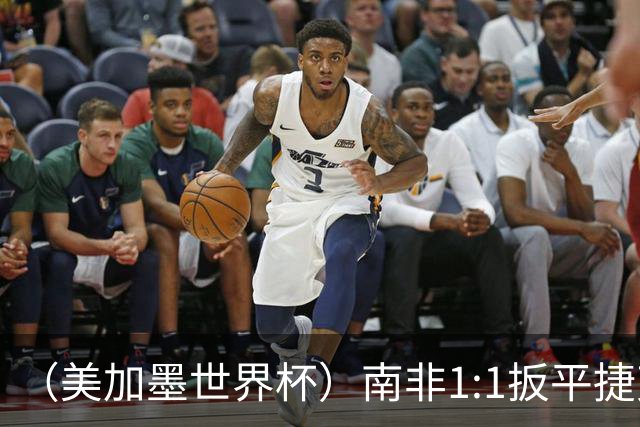 （美加墨世界杯）南非1:1扳平捷克 瑞士4:1战胜十人波黑